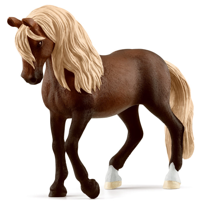 schleich-paso-peruano-stallion-13952