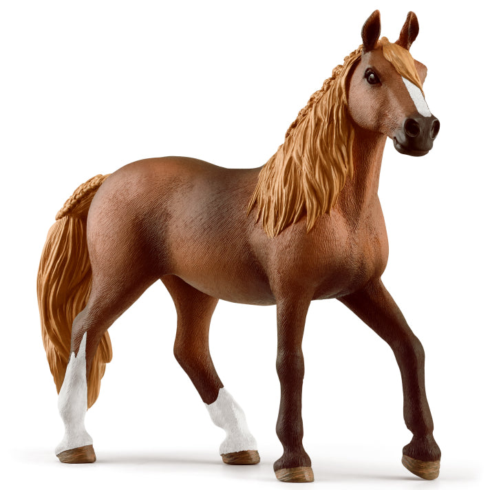 schleich-paso-peruano-mare-13953