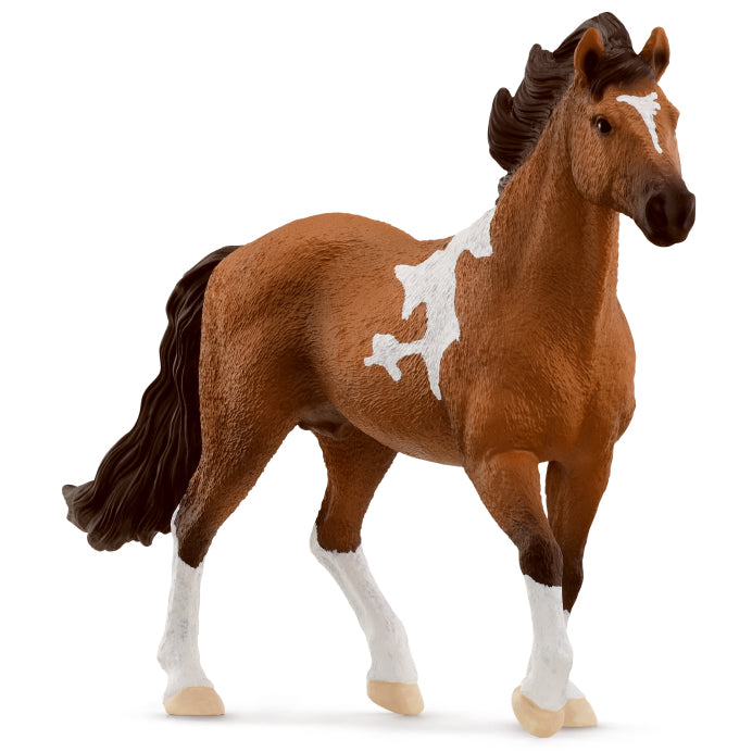 schleich-mangalarga-marchador-stallion-13978