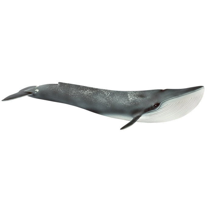 schleich-f-blue-whale-14806