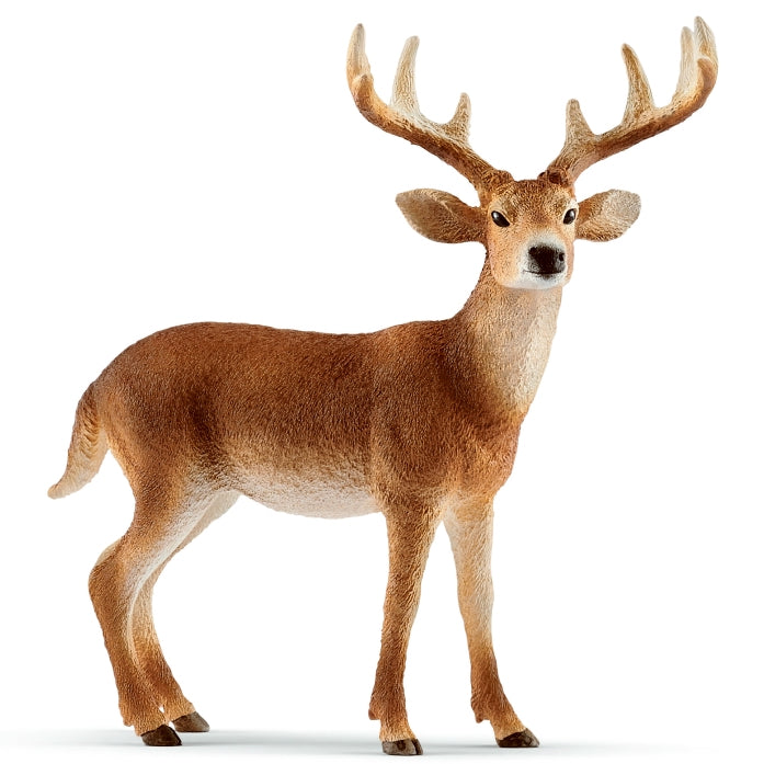 schleich-white-tailed-buck-14818