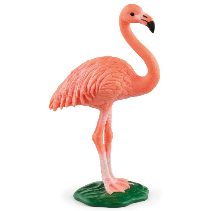 schleich-1-flamingo-14849