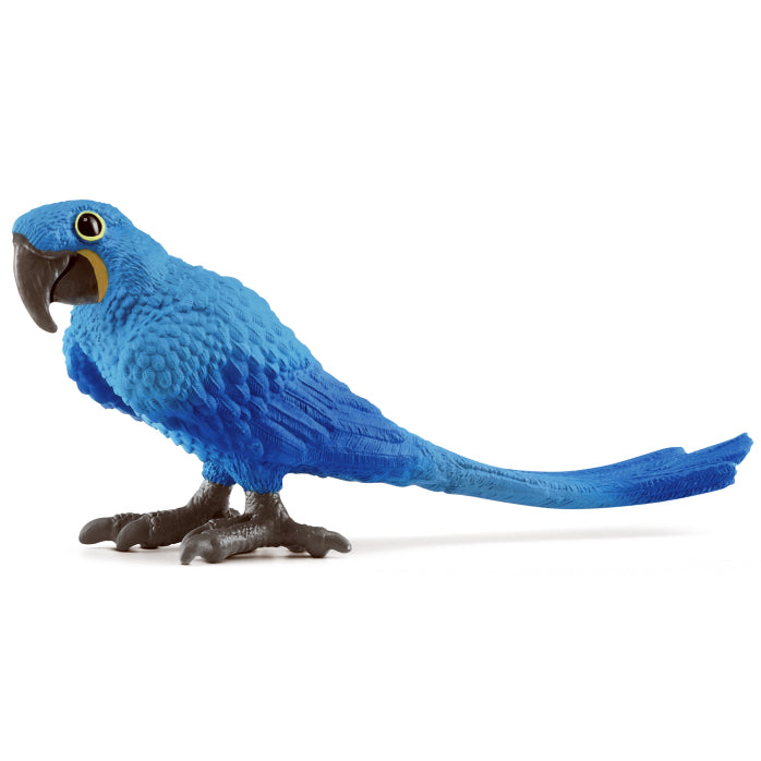 schleich-1-hyacinth-macaw-14859