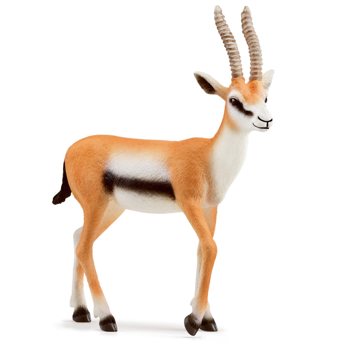 schleich-thomson-gazelle-14861