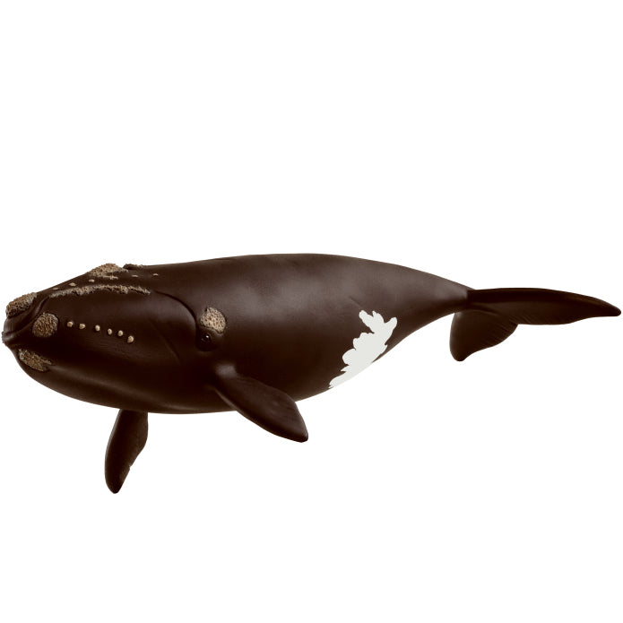 schleich-f-north-atlantic-right-whale-14878