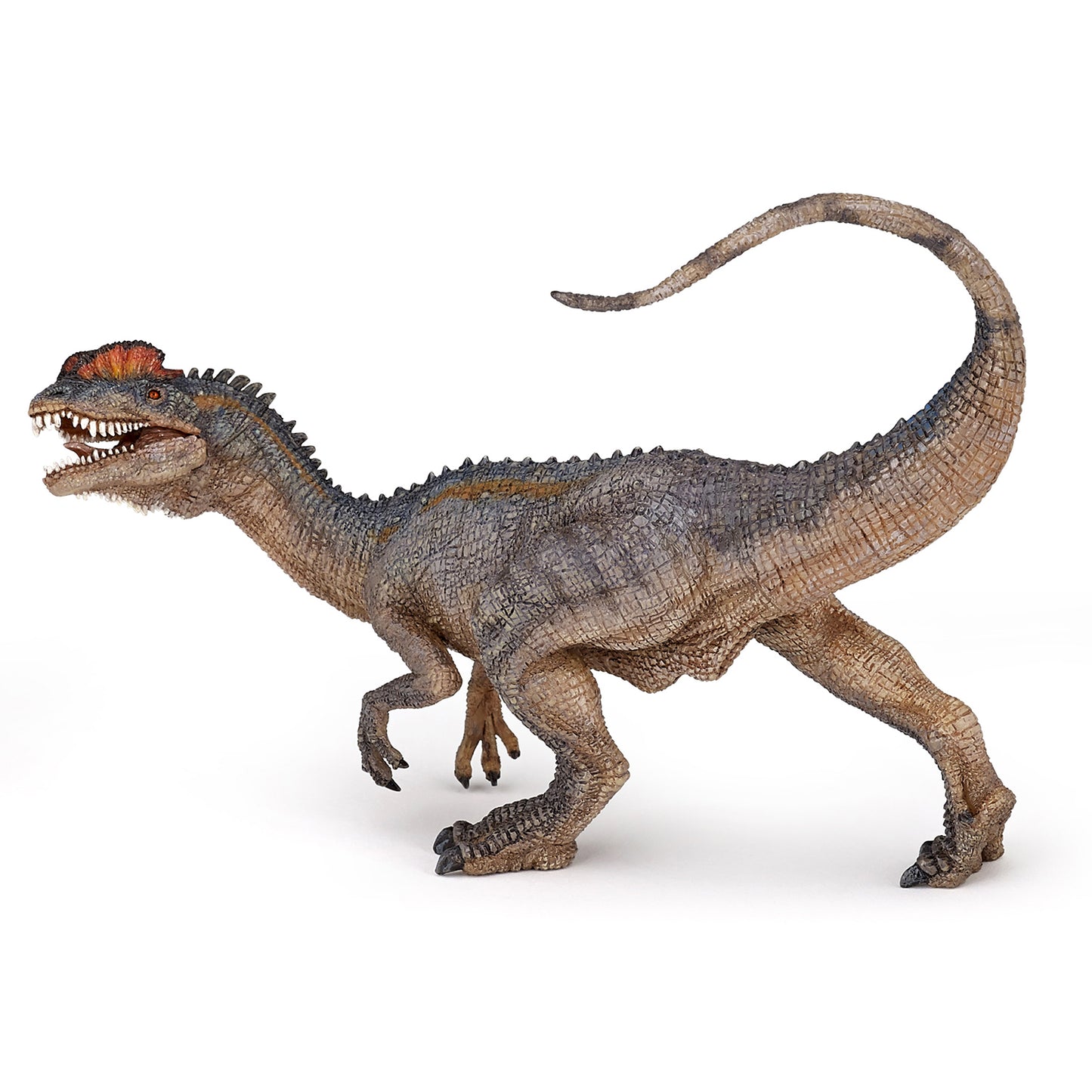 papo-dilophosaurus-dinosaur-55035