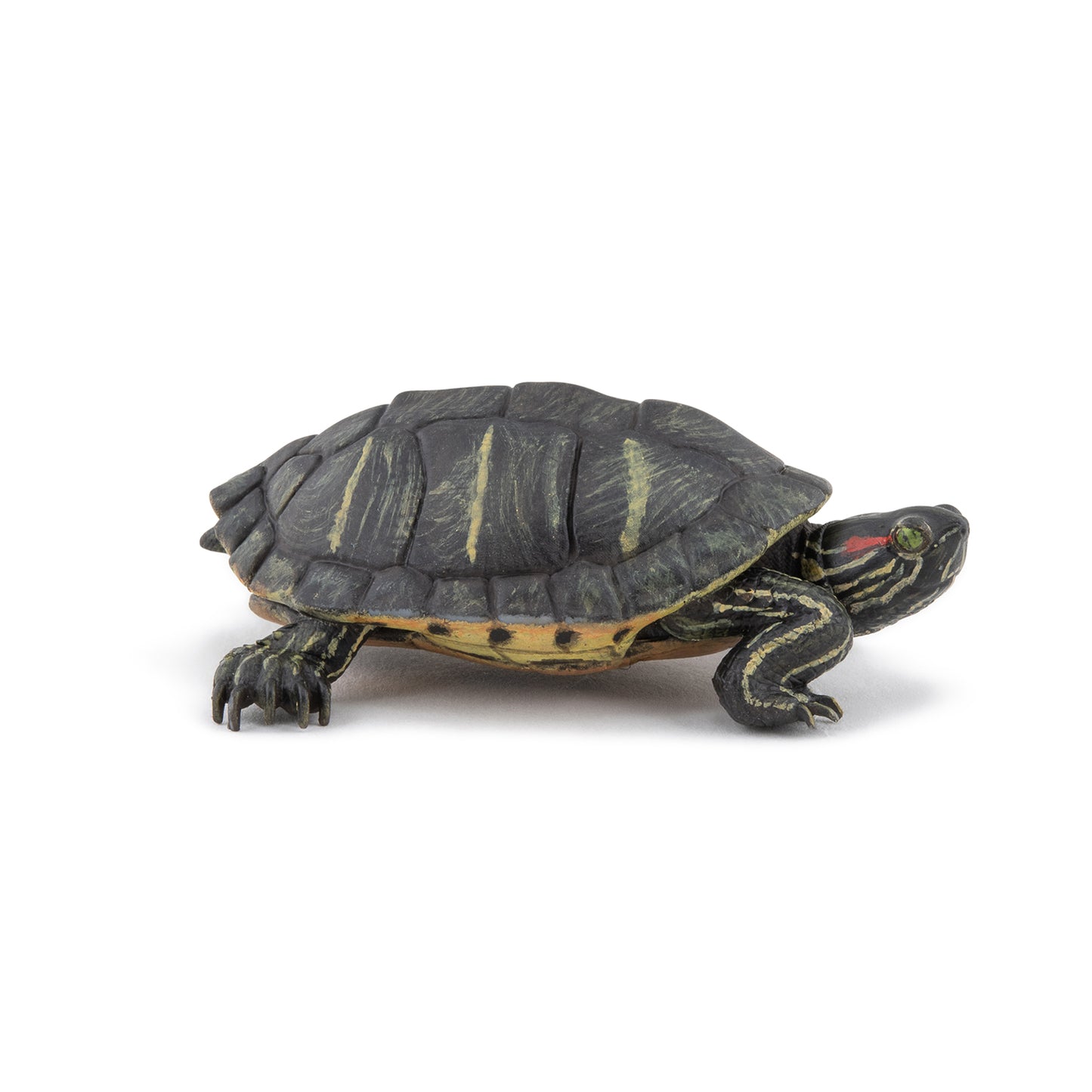 papo-florida-tortoise-50309