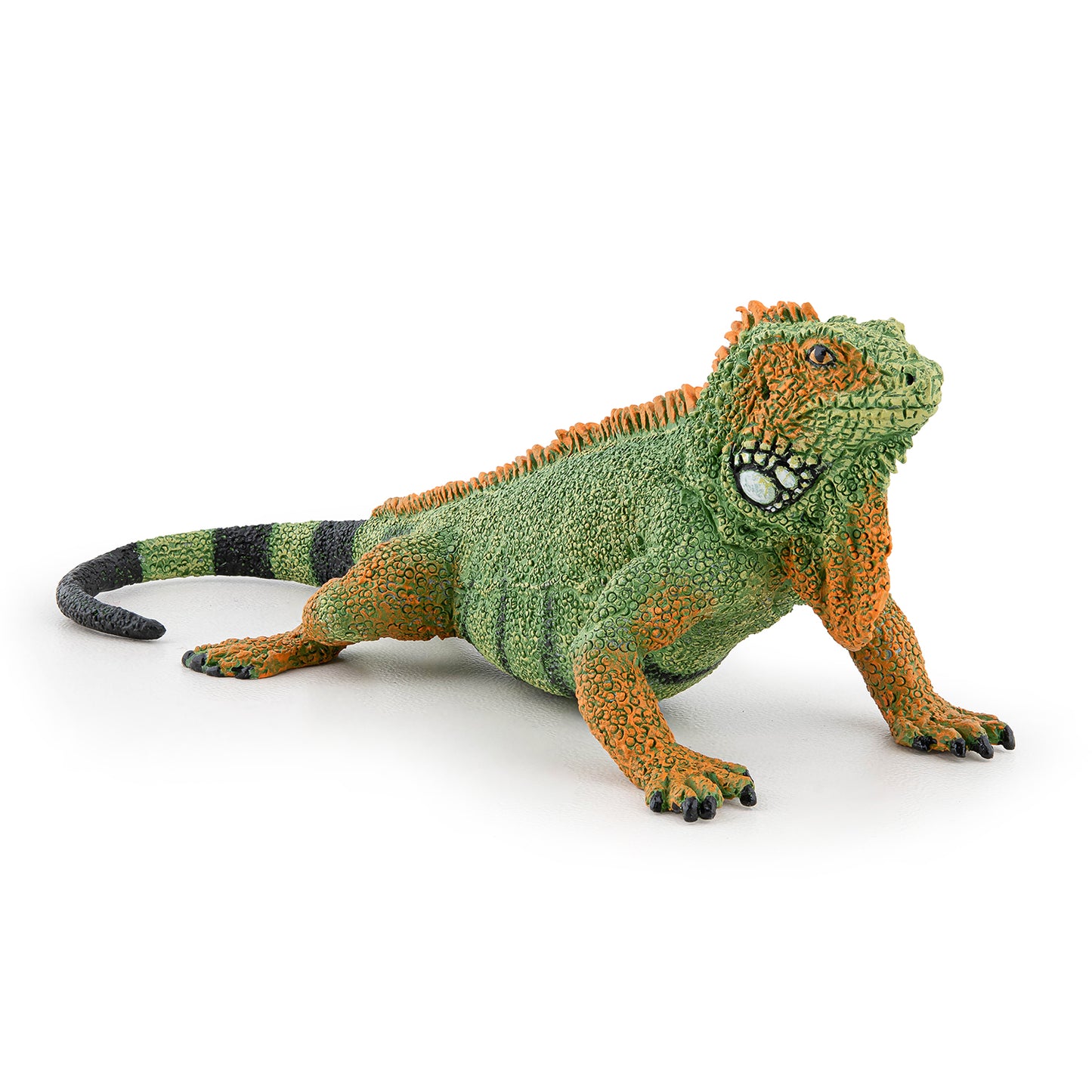 papo-iguana-50306