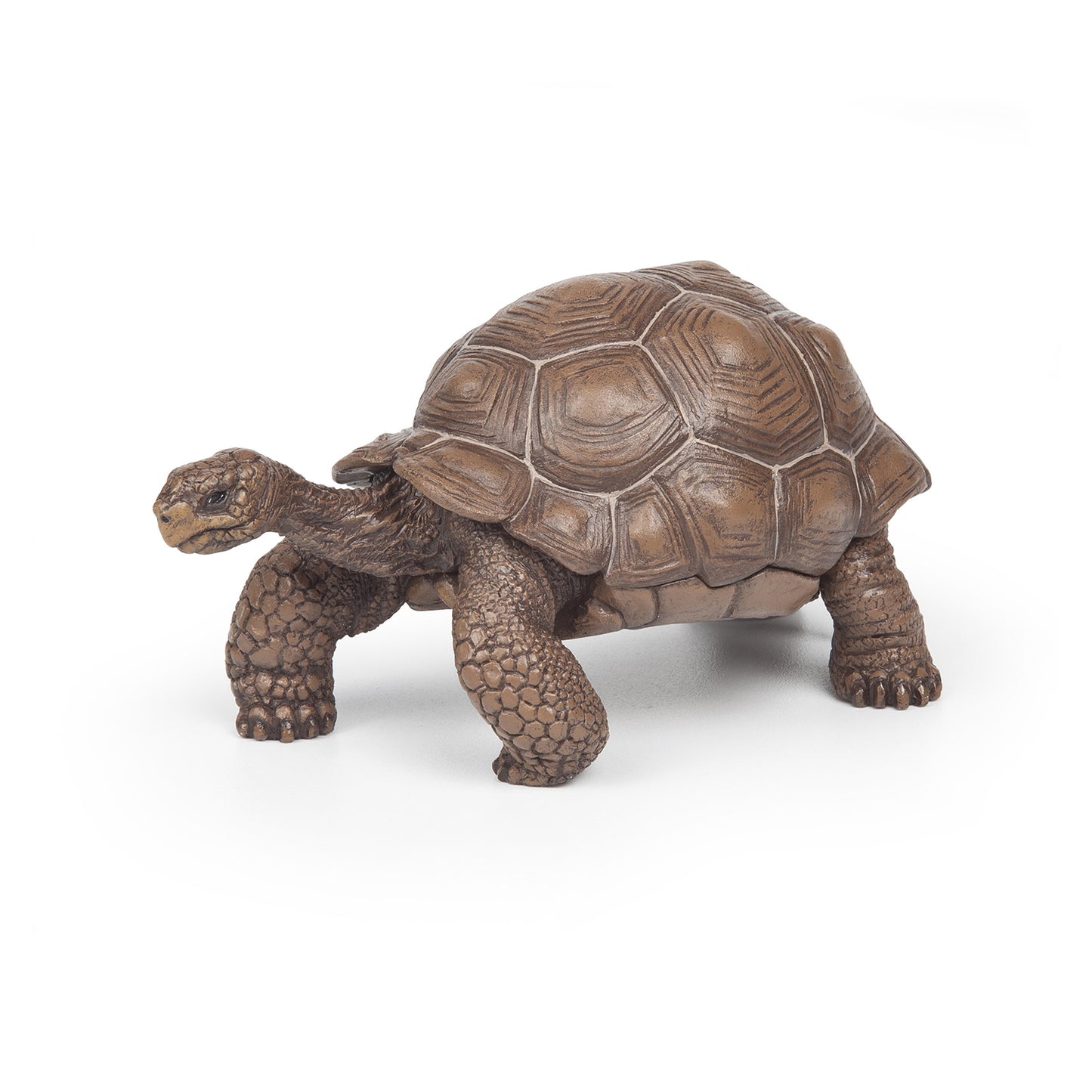 papo-tortoise-galapagos-50161
