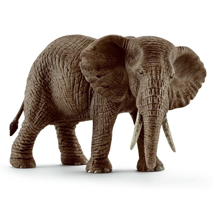 schleich-african-elephant-female-14761