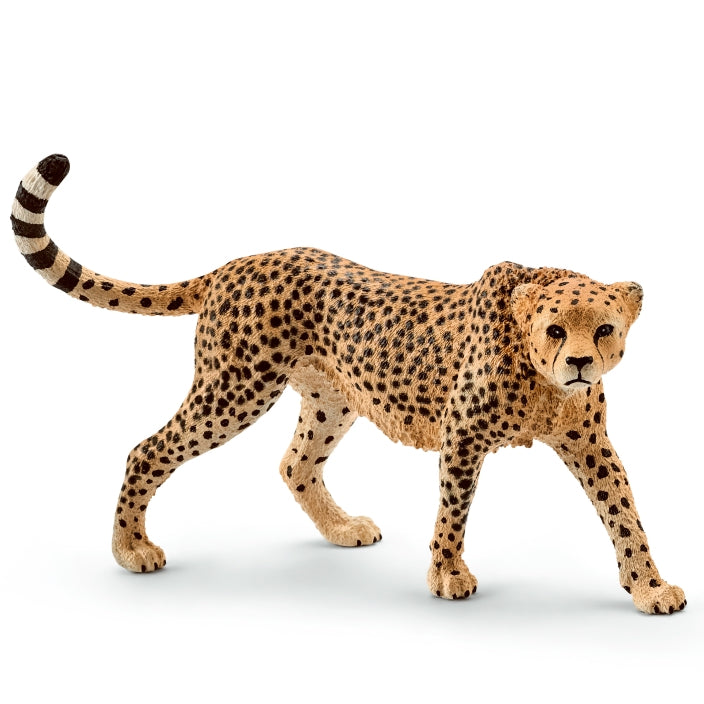 schleich-cheetah-female-14746