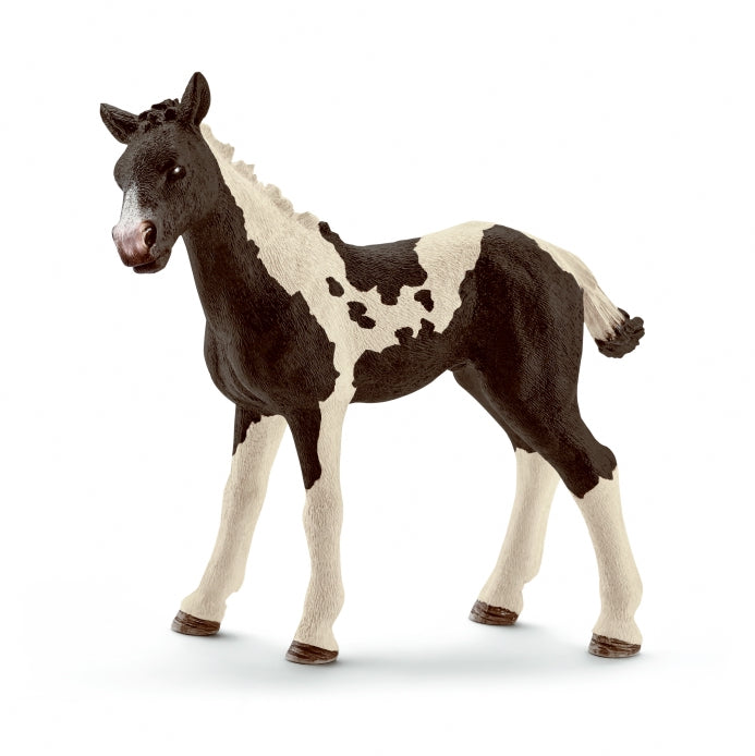 schleich-pinto-foal-13803