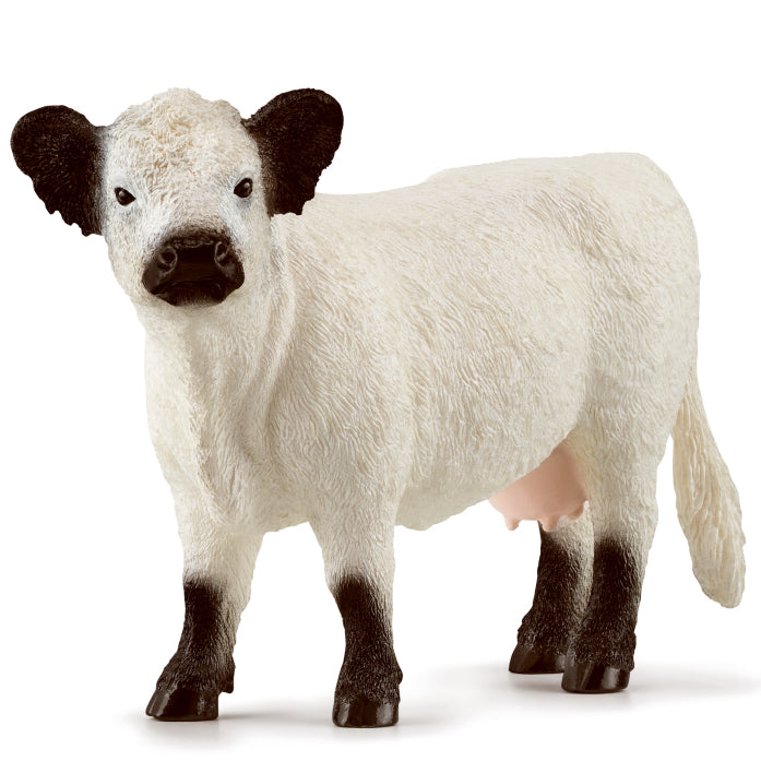 schleich-galloway-cow-13960