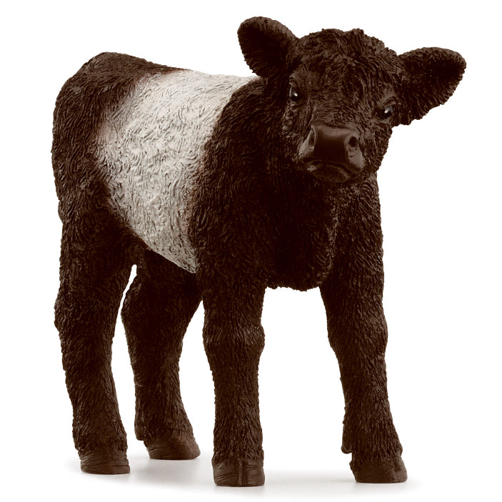 schleich-galloway-calf-13969