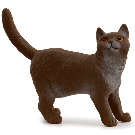 schleich-british-shorthair-cat-13973