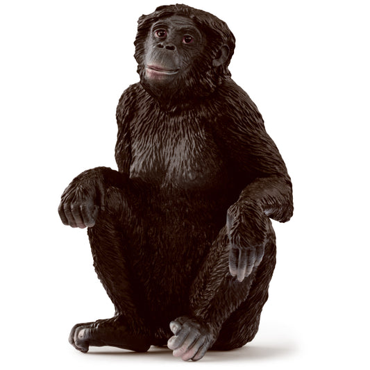 schleich-bonobo-female-14875