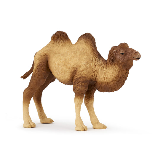 papo-bactrian-camel-50129