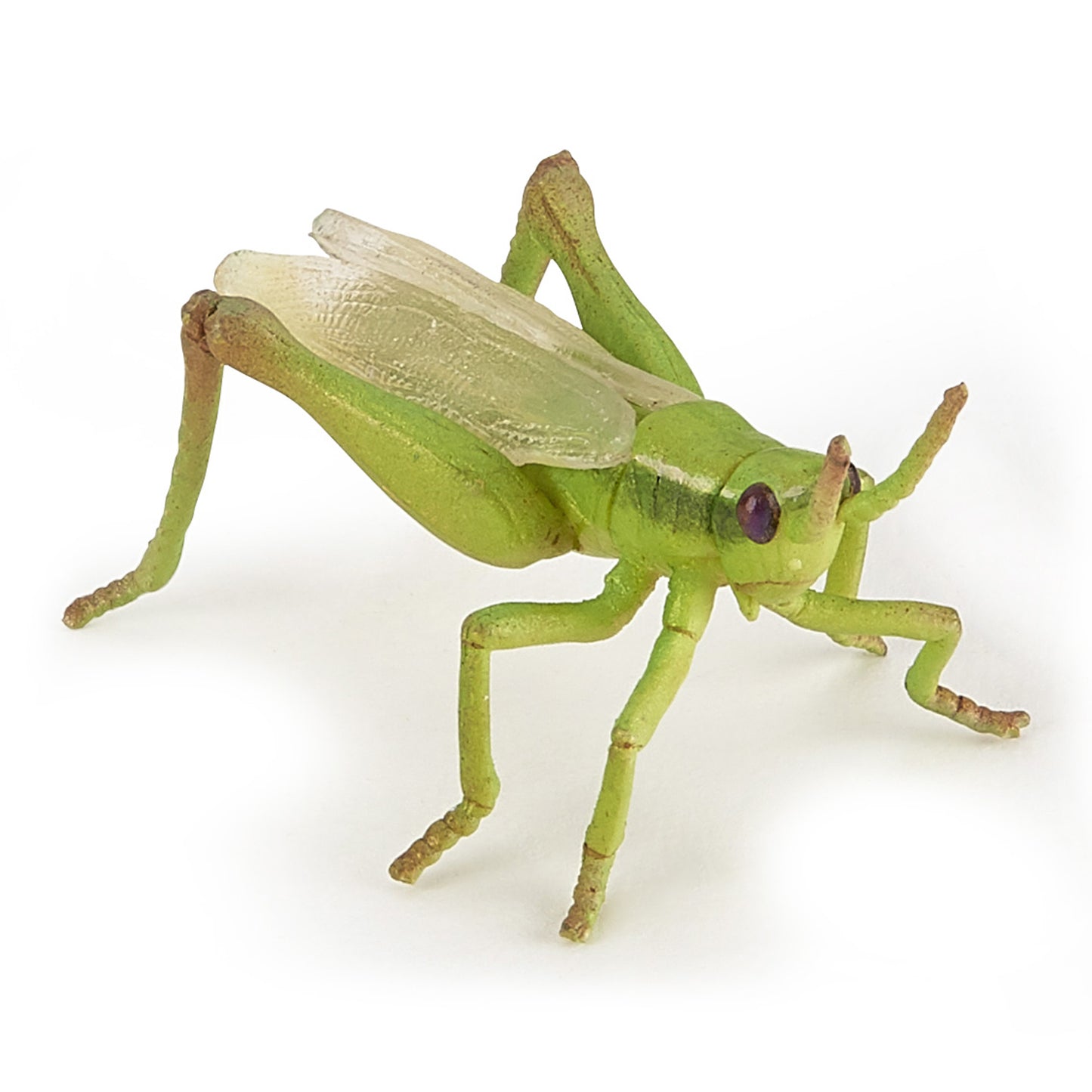 papo-grasshopper-50268