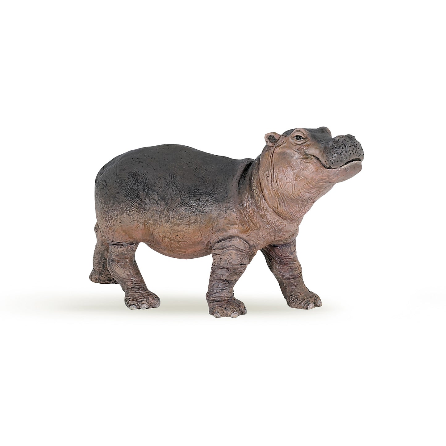 papo-hippopotamus-calf-50052