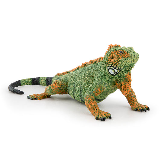 papo-iguana-50306