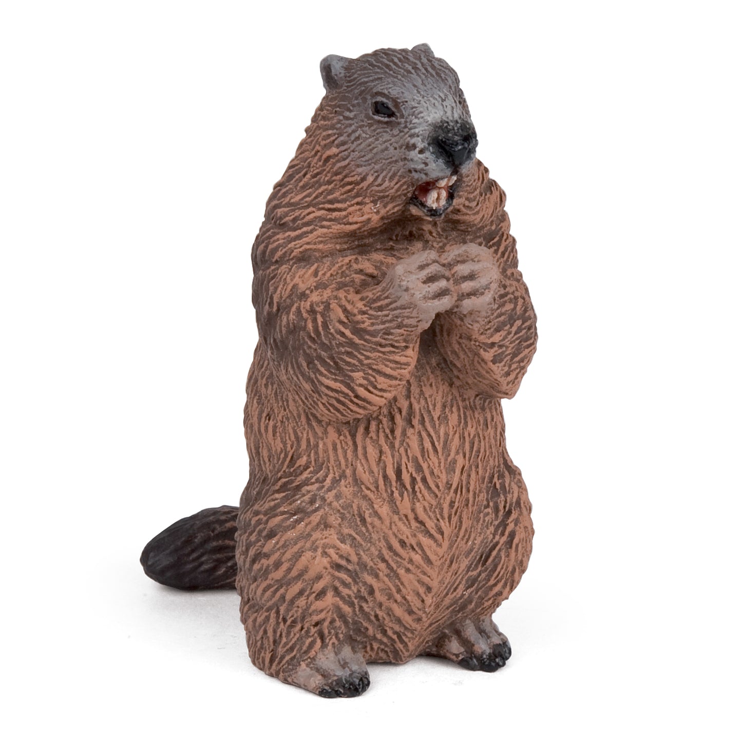 papo-marmot-50128