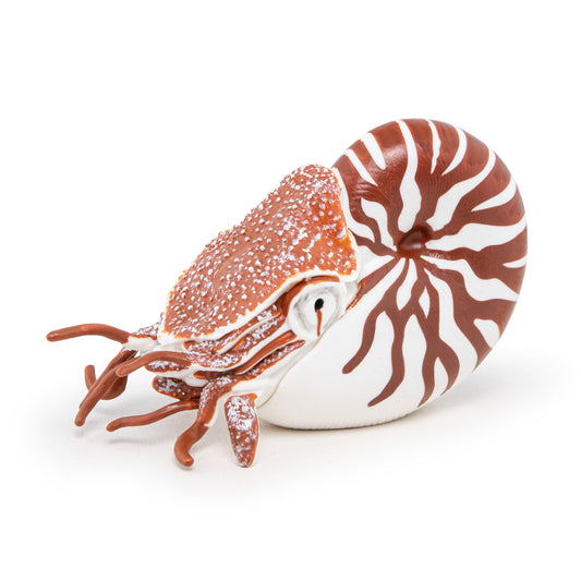 papo-nautilus-56061