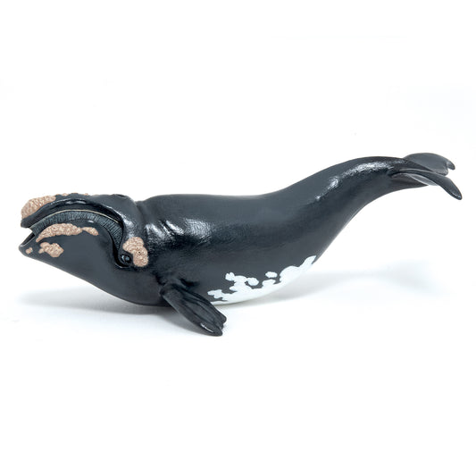 papo-right-whale-56057