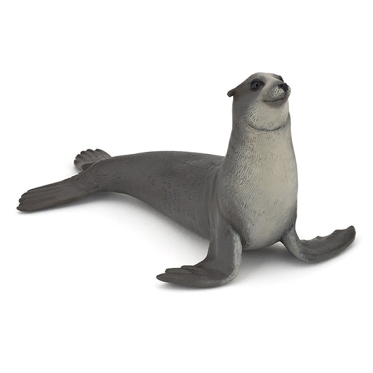 papo-sea-lion-56025
