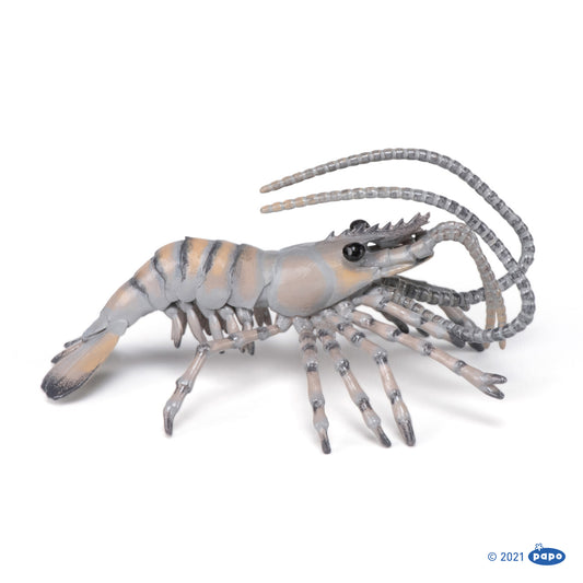 papo-shrimp-56053