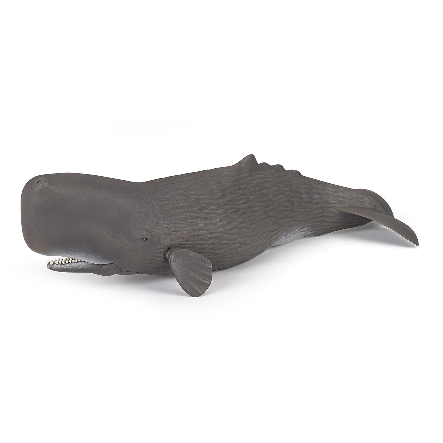papo-sperm-whale-56036