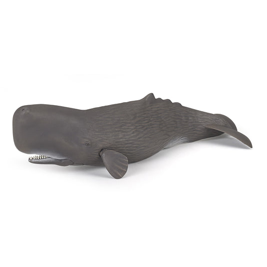 papo-sperm-whale-56036