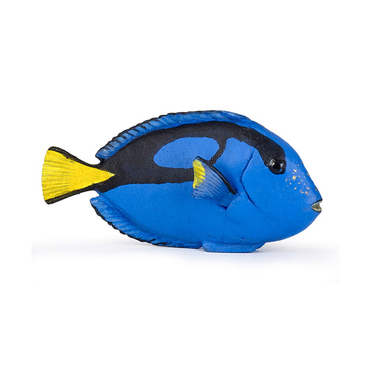 papo-surgeon-fish-56024
