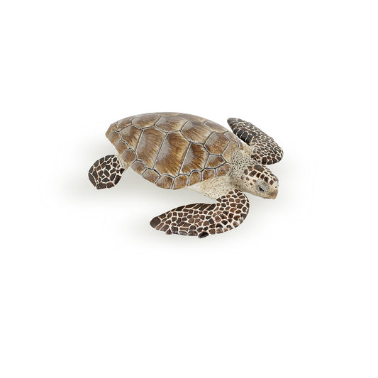 papo-turtle-loggerhead-56005