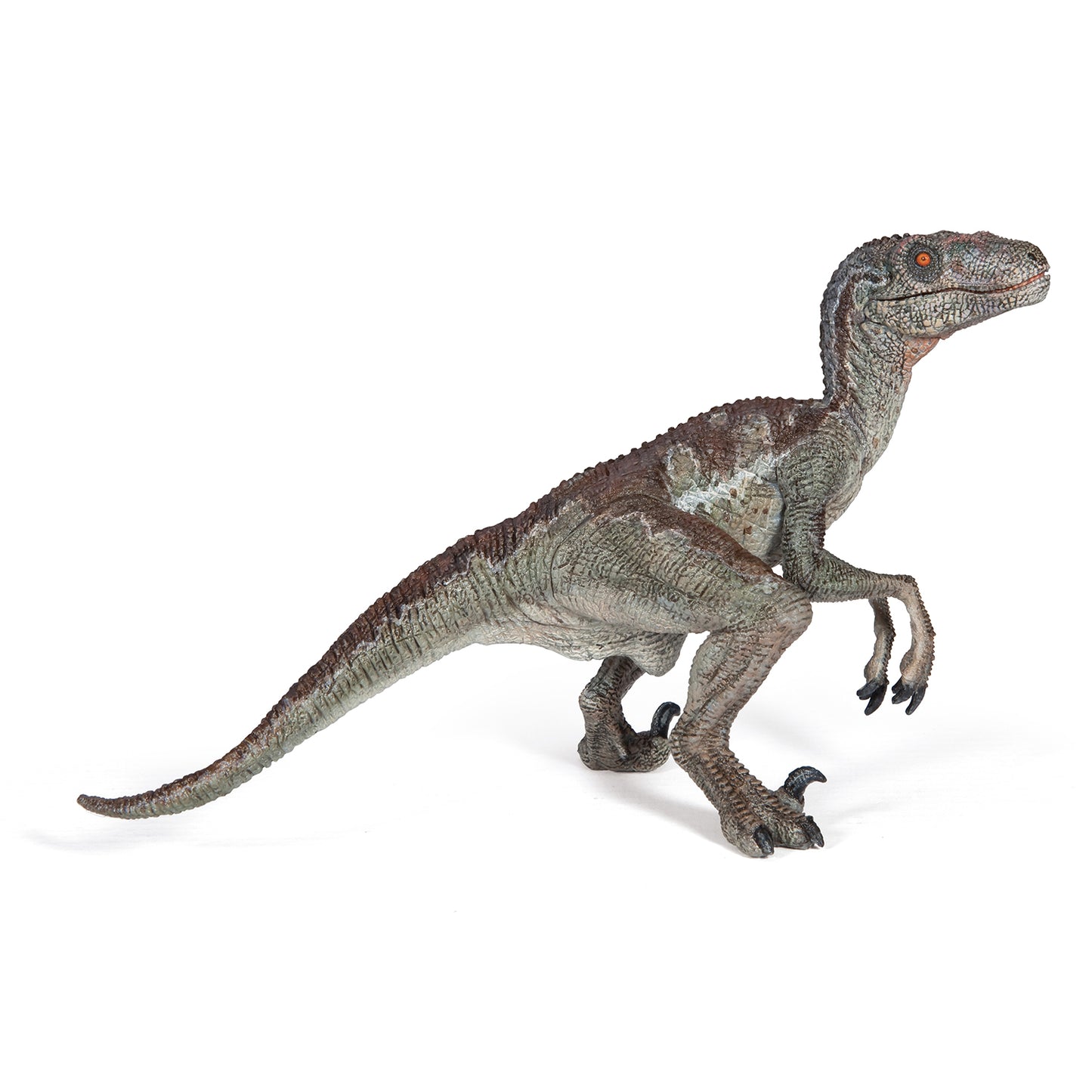 papo-velociraptor-dinosaur-55023