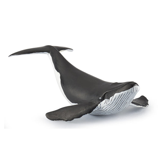 papo-whale-calf-56035