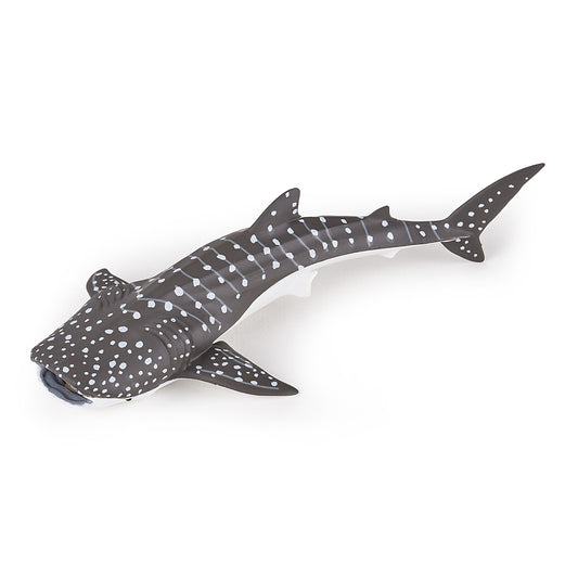 papo-young-whale-shark-56046