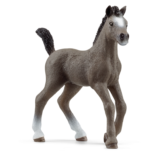 schleich-cheval-de-selle-francais-foal-13957