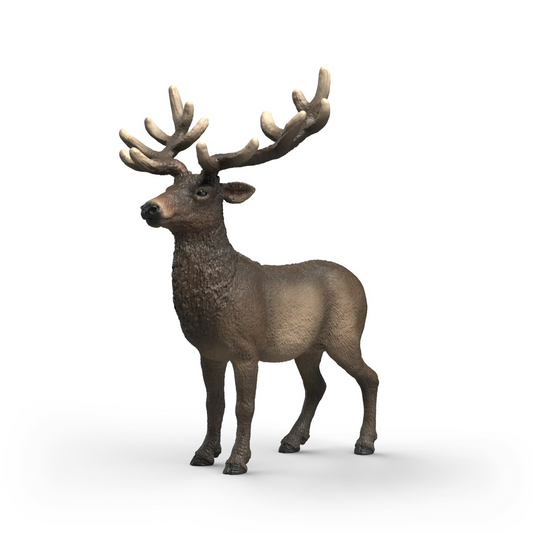schleich-elk-14992