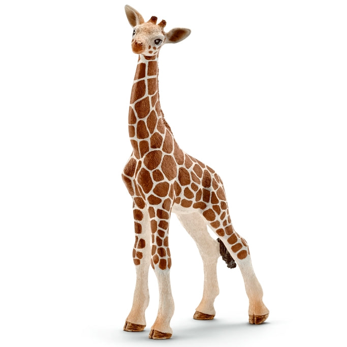 schleich-giraffe-calf-14751