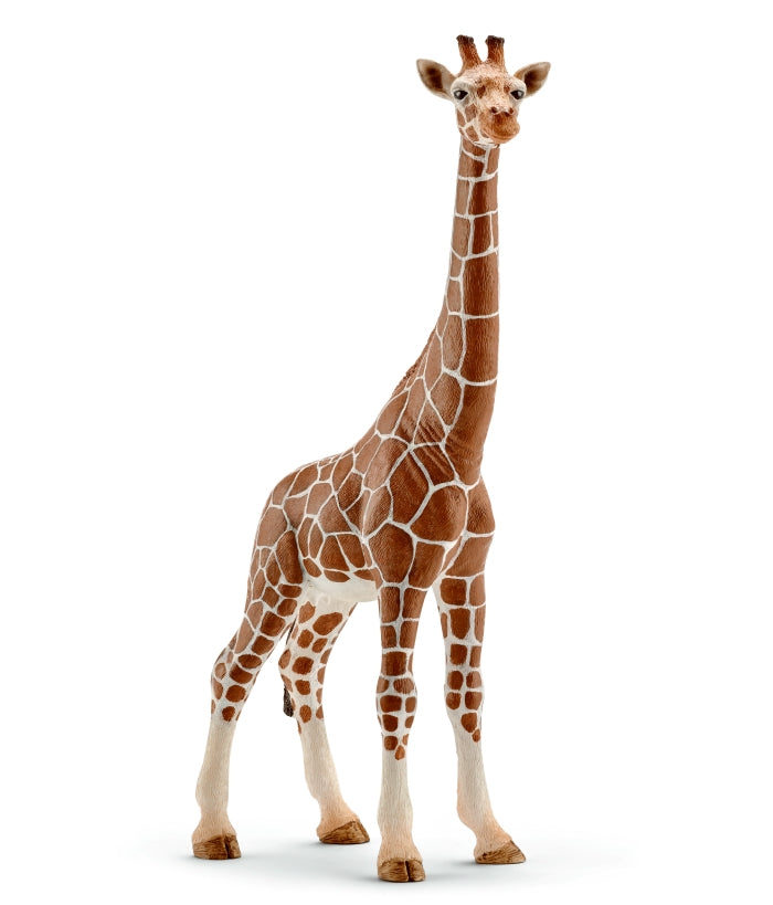 schleich-giraffe-female-14750