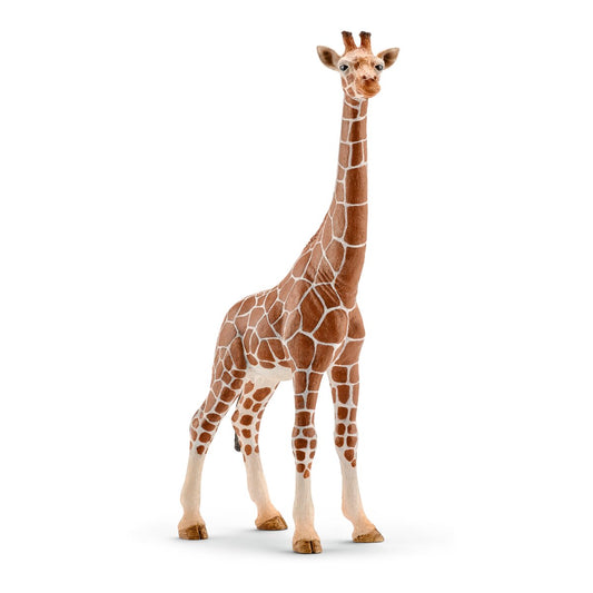 schleich-giraffe-female-14750