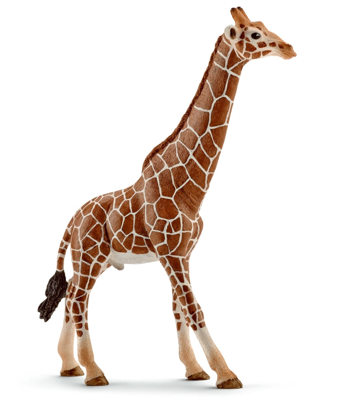 schleich-giraffe-male-14749