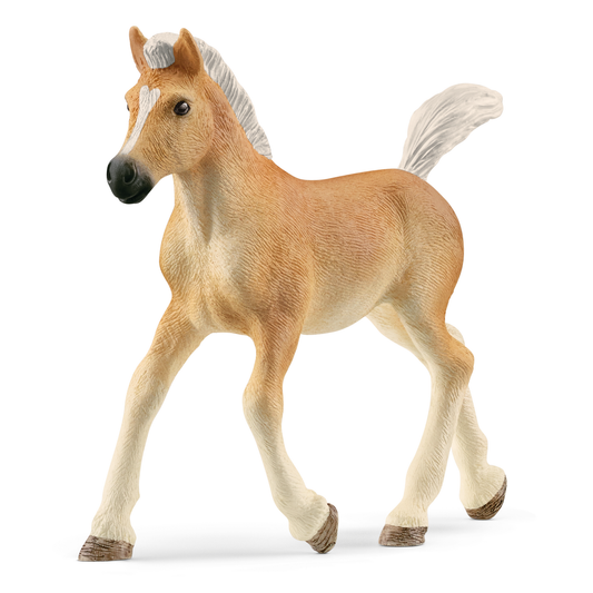 schleich-haflinger-foal-13951