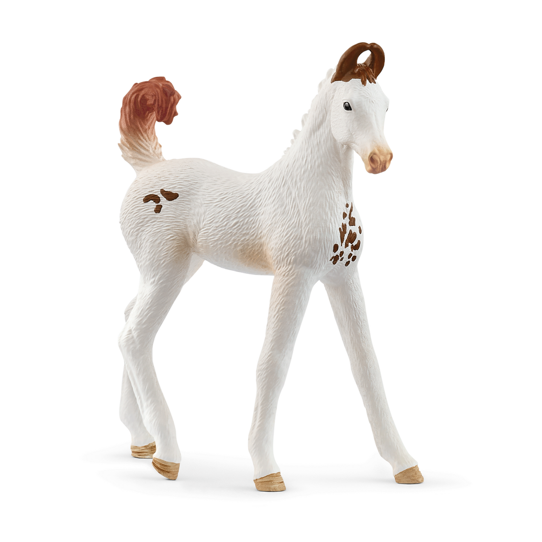 Schleich Horse Club - Marwari Foal main image 1