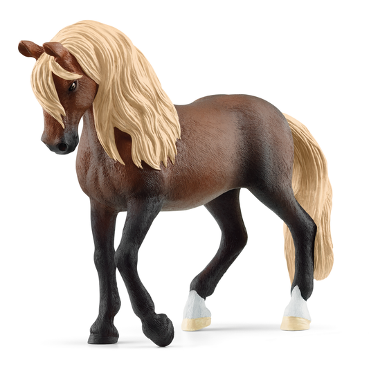 schleich-paso-peruano-stallion-13952