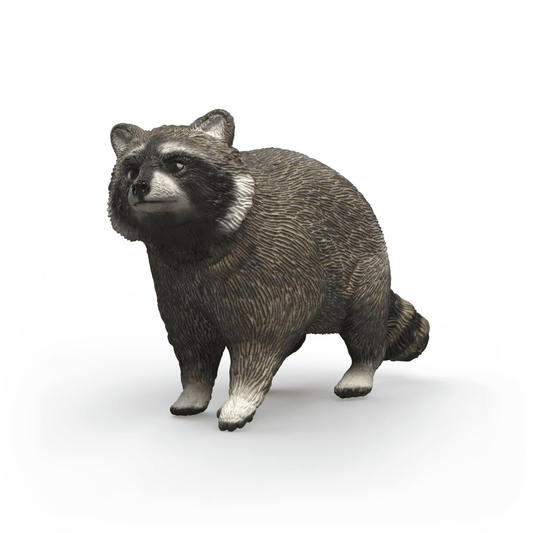 Schleich Raccoon toy figure – Model #14937