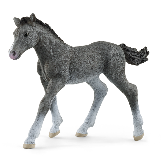 schleich-trakenher-foal-13944